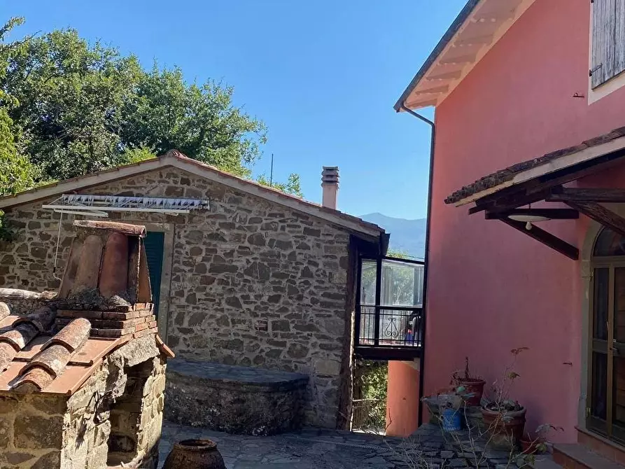 Immagine 2 di Casa colonica in vendita  a Arcidosso