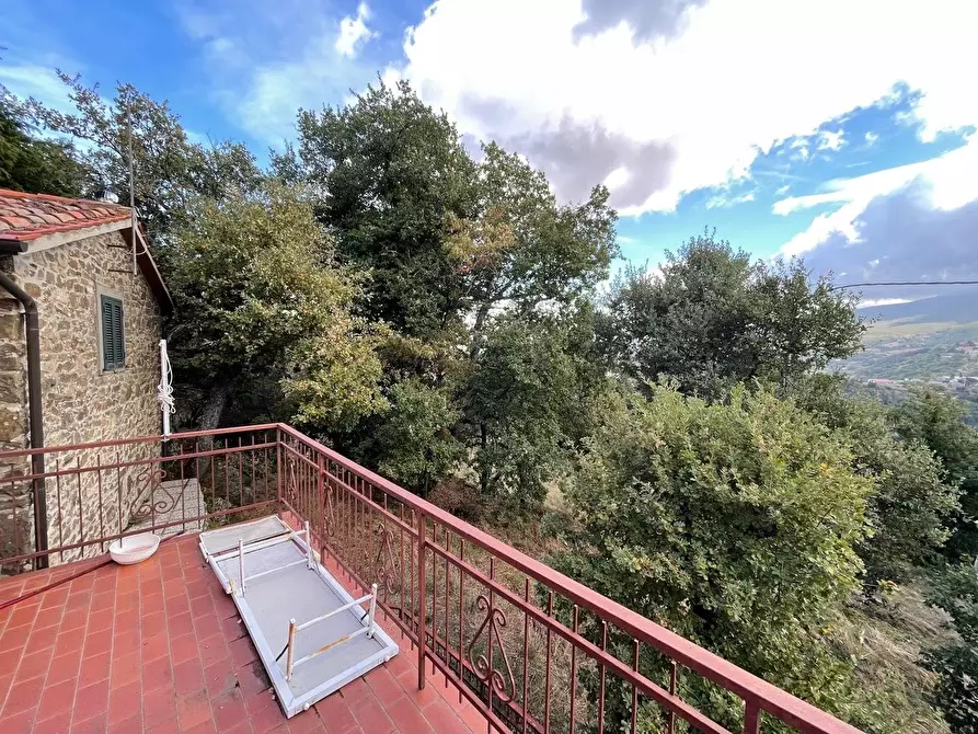 Immagine 10 di Casa colonica in vendita  a Arcidosso