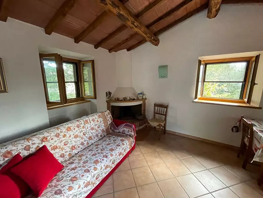 Immagine 25 di Casa colonica in vendita  a Arcidosso