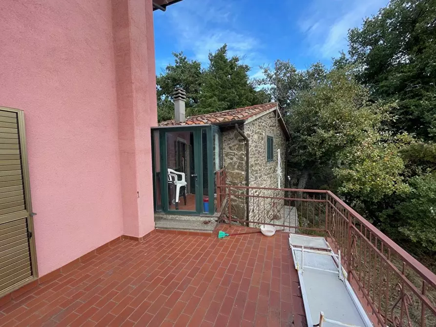 Immagine 11 di Casa colonica in vendita  a Arcidosso