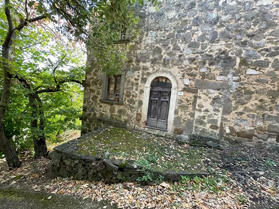 Immagine 95 di Casa colonica in vendita  a Arcidosso