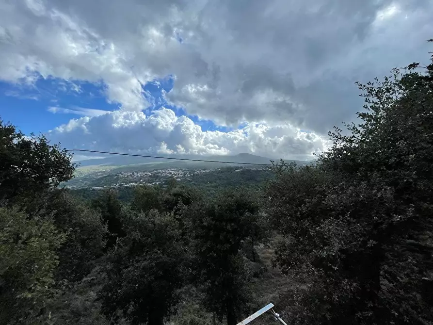 Immagine 8 di Casa colonica in vendita  a Arcidosso