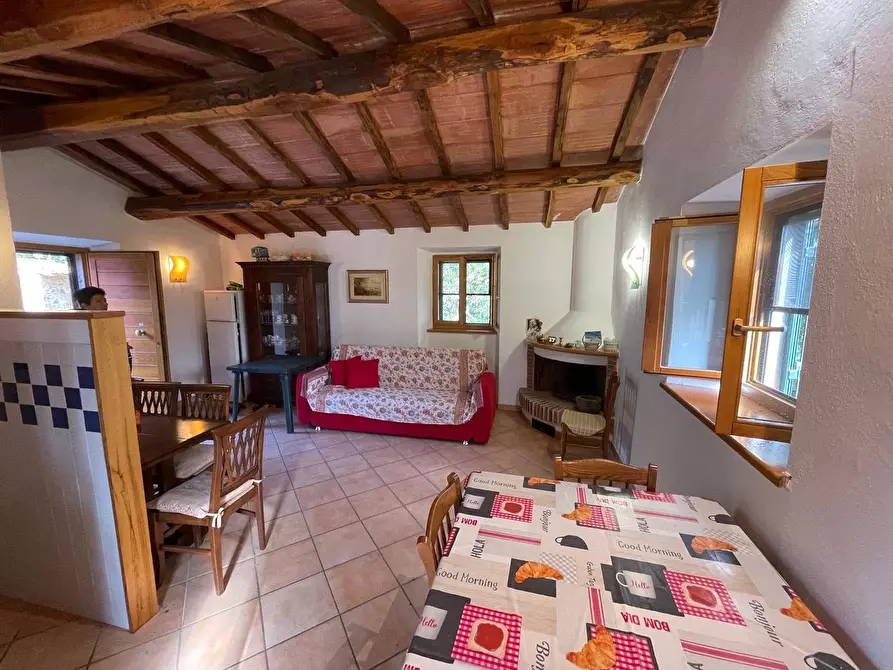 Immagine 42 di Casa colonica in vendita  a Arcidosso