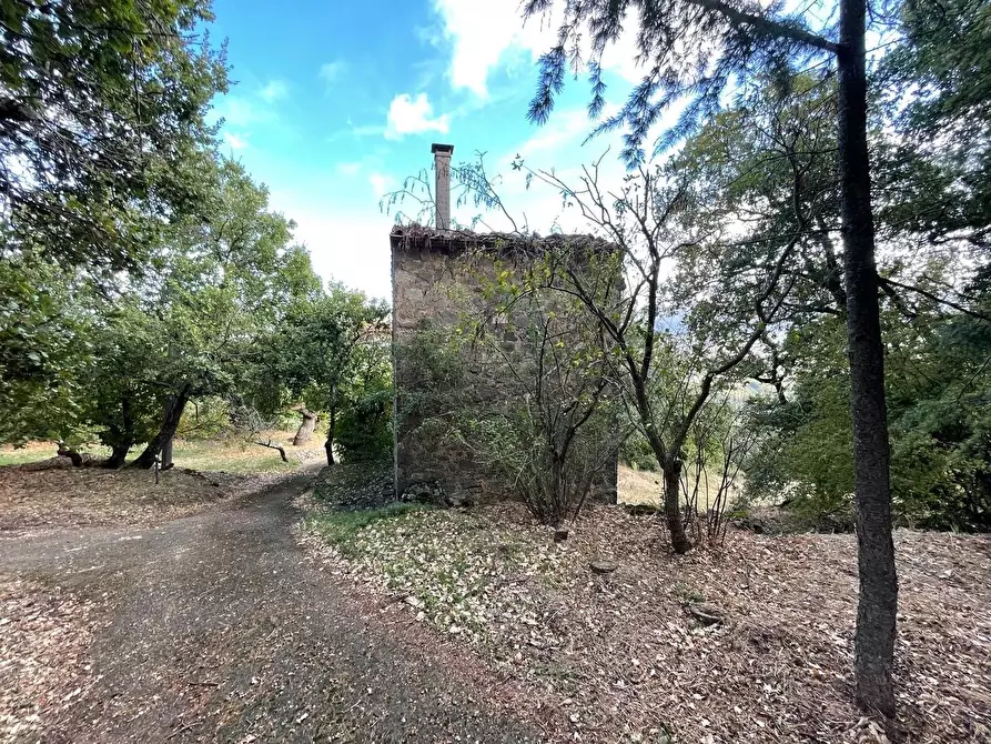 Immagine 91 di Casa colonica in vendita  a Arcidosso