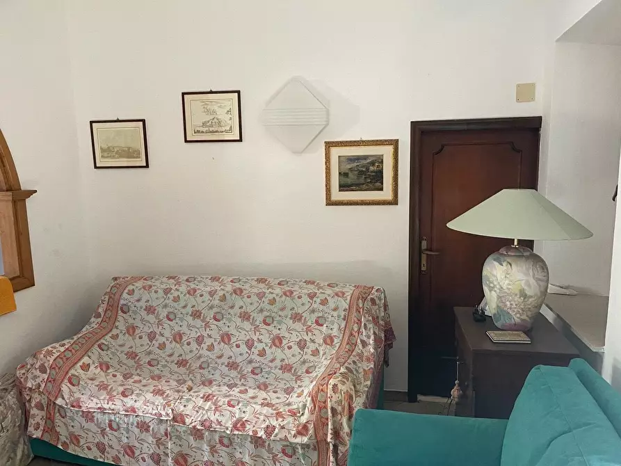 Immagine 51 di Casa colonica in vendita  a Arcidosso