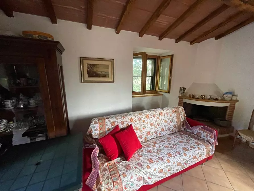Immagine 26 di Casa colonica in vendita  a Arcidosso