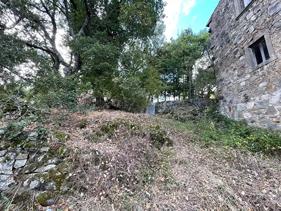 Immagine 102 di Casa colonica in vendita  a Arcidosso