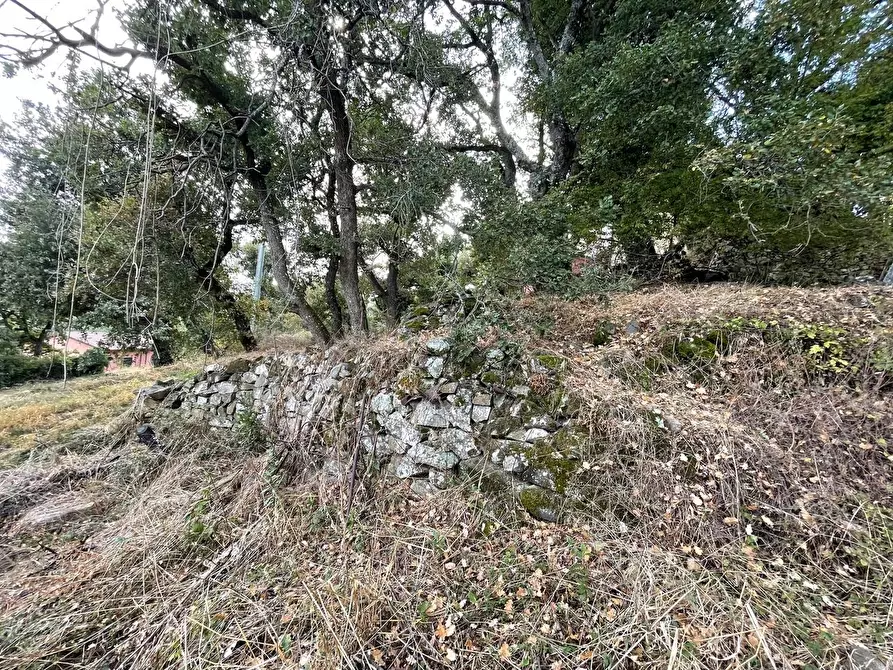 Immagine 103 di Casa colonica in vendita  a Arcidosso