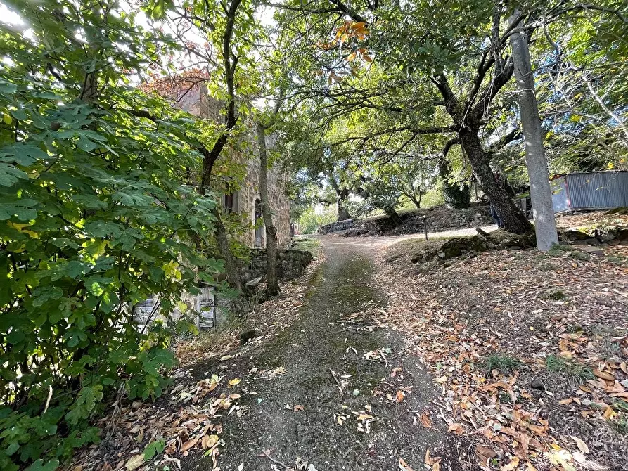 Immagine 97 di Casa colonica in vendita  a Arcidosso