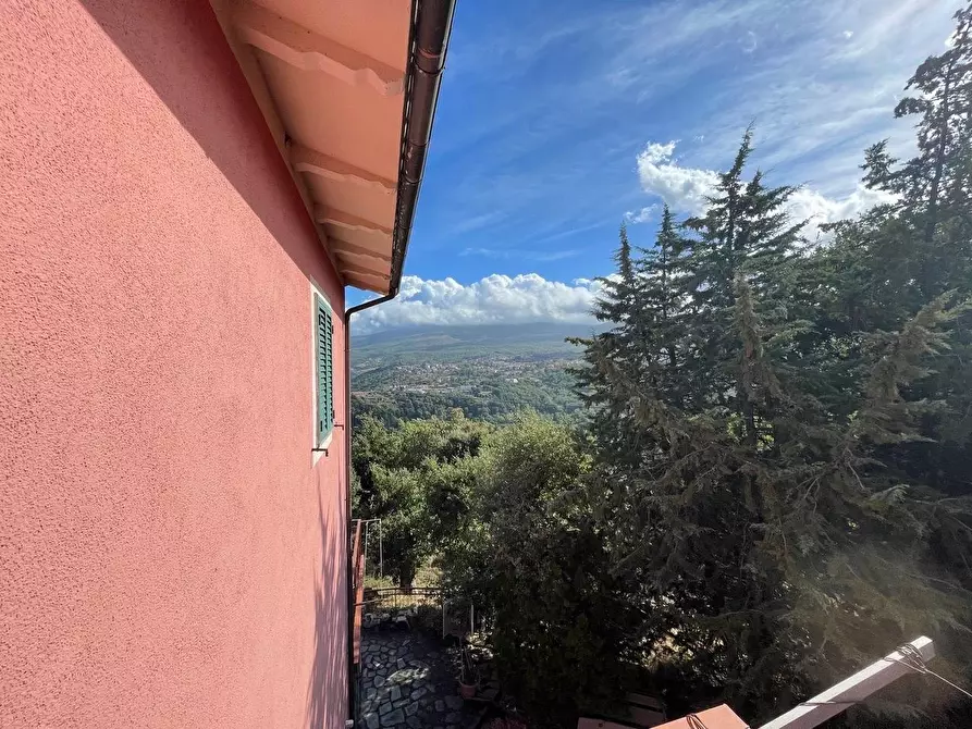 Immagine 66 di Casa colonica in vendita  a Arcidosso