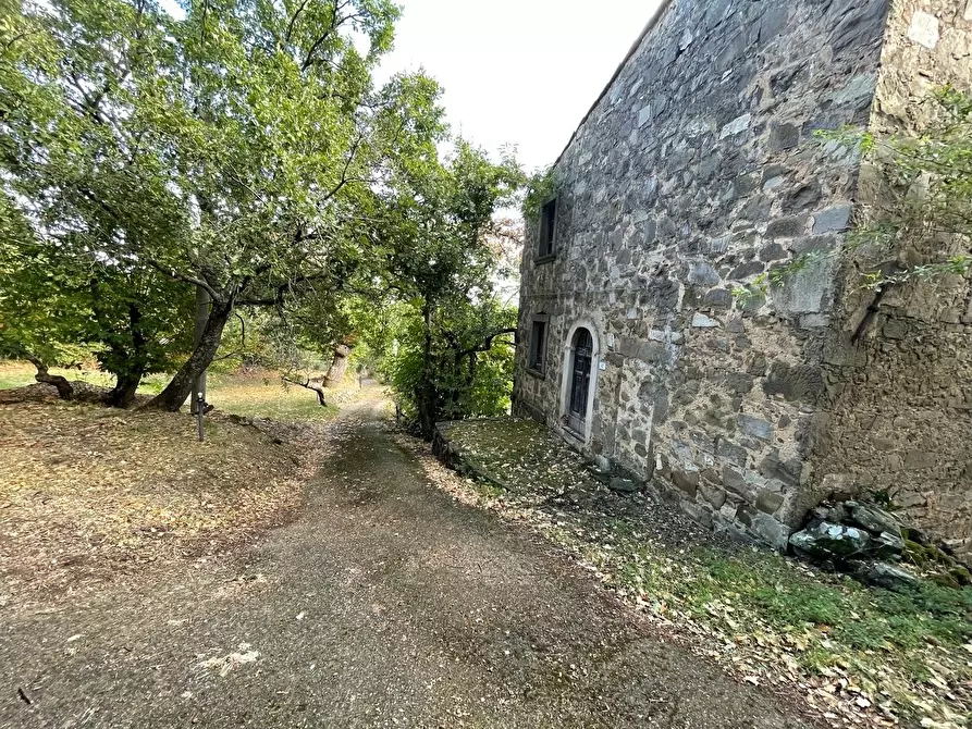 Immagine 93 di Casa colonica in vendita  a Arcidosso