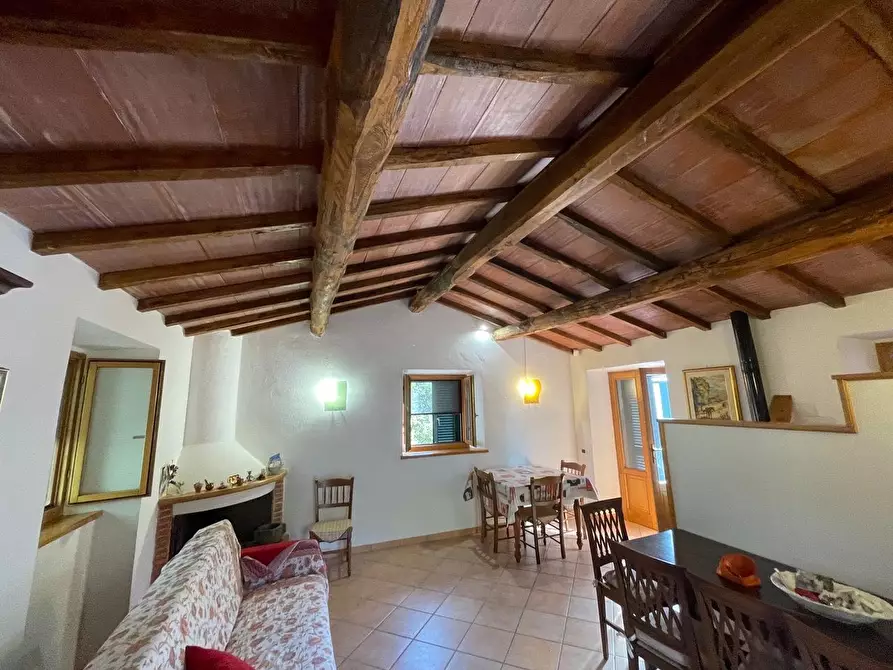 Immagine 47 di Casa colonica in vendita  a Arcidosso