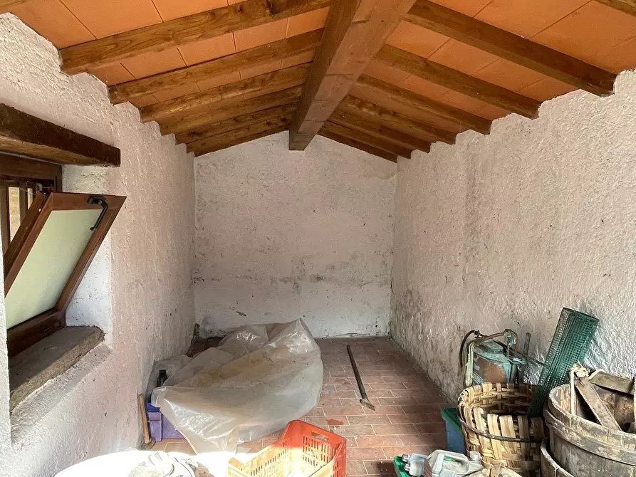 Immagine 32 di Casa colonica in vendita  a Arcidosso