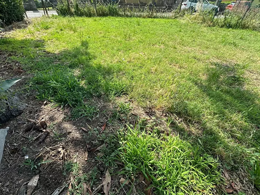 Immagine 24 di Casa indipendente in vendita  a Pescia