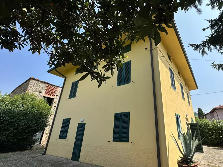 Immagine 2 di Casa indipendente in vendita  a Pescia