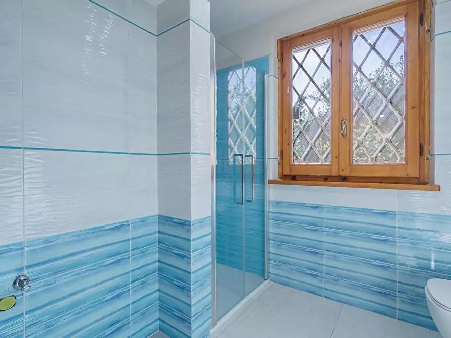 Immagine 34 di Casa indipendente in vendita  a Camaiore