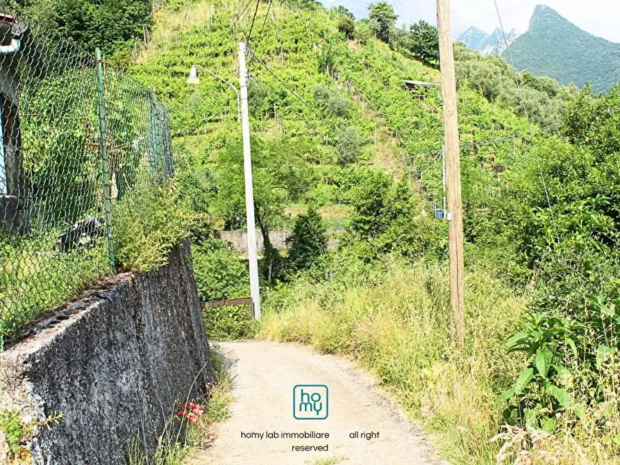 Immagine 13 di Casa indipendente in vendita  a Carrara