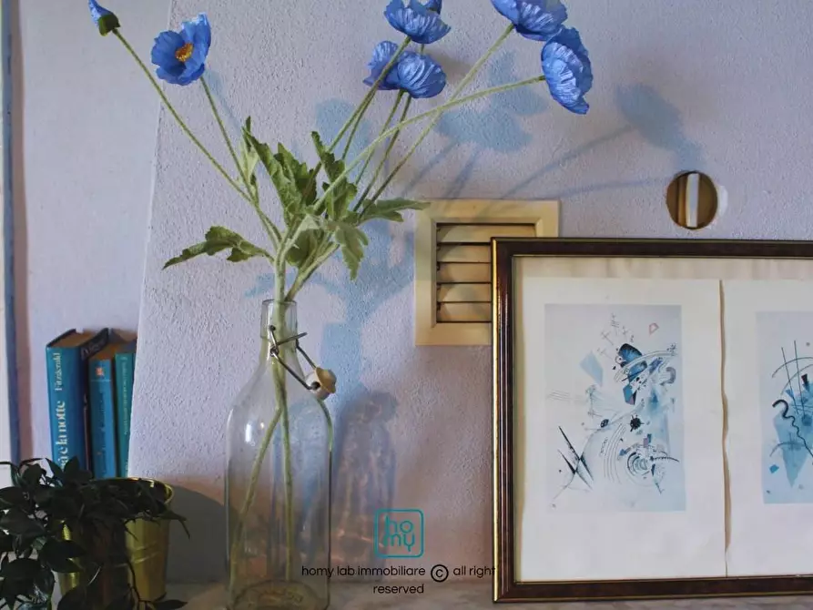 Immagine 18 di Casa indipendente in vendita  a Carrara