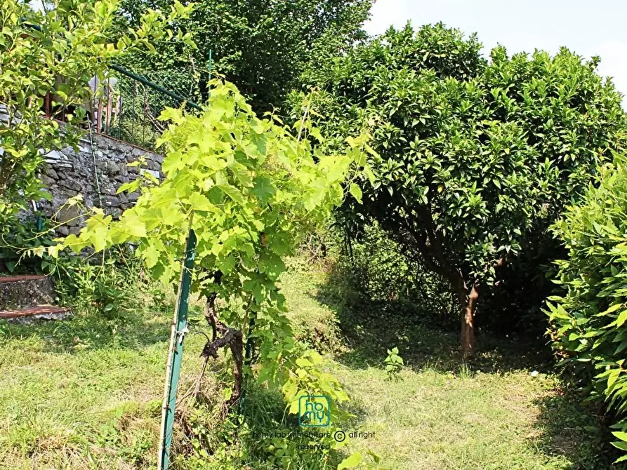 Immagine 29 di Casa indipendente in vendita  a Carrara