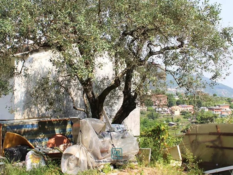 Immagine 4 di Casa indipendente in vendita  a Carrara