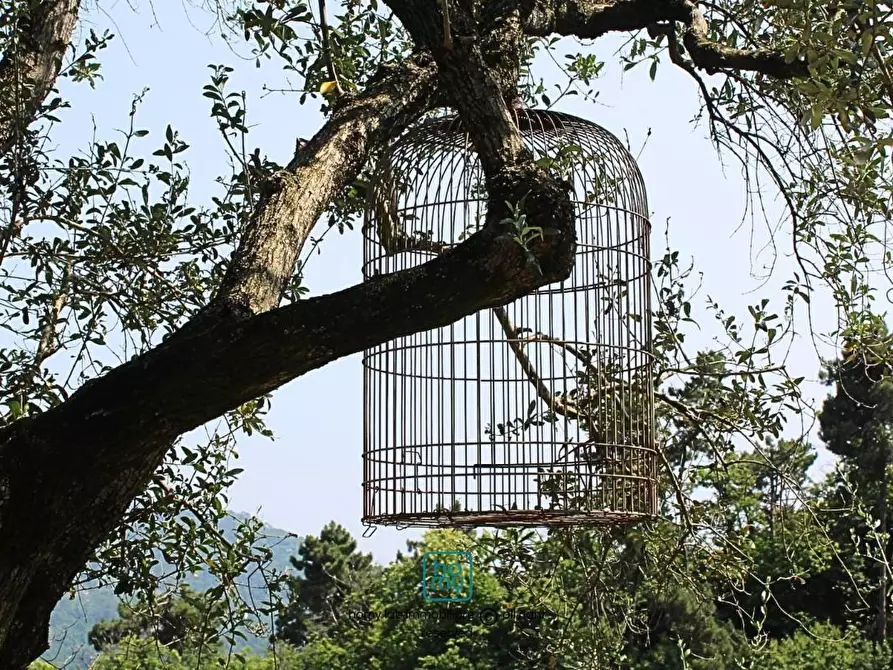Immagine 14 di Casa indipendente in vendita  a Carrara