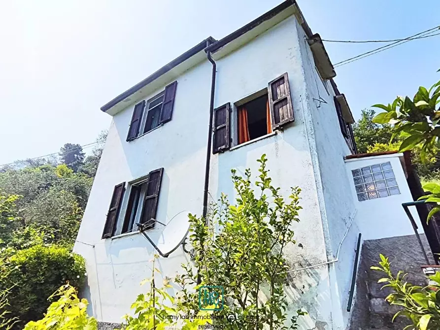 Immagine 3 di Casa indipendente in vendita  a Carrara