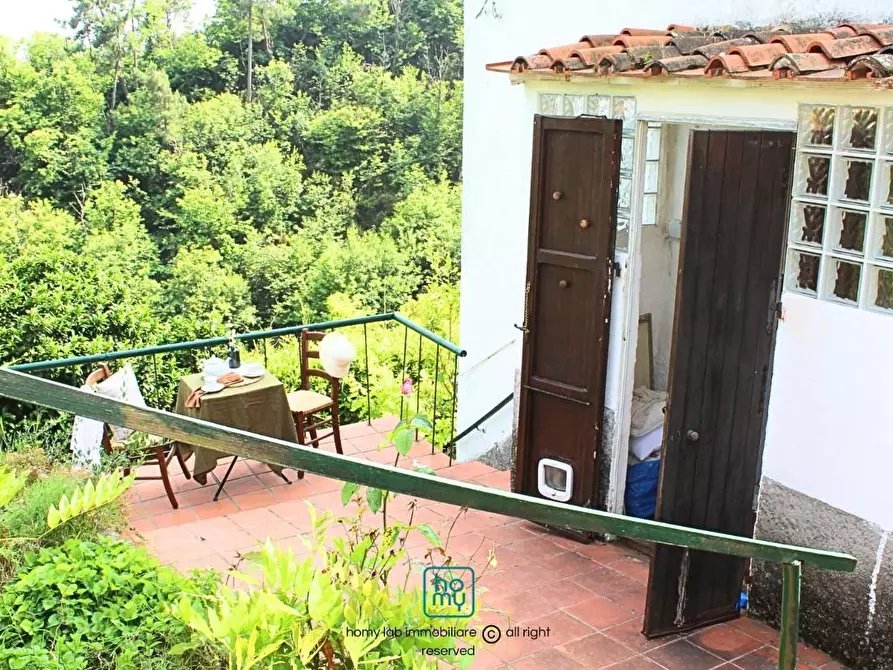 Immagine 12 di Casa indipendente in vendita  a Carrara