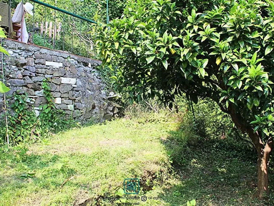 Immagine 16 di Casa indipendente in vendita  a Carrara