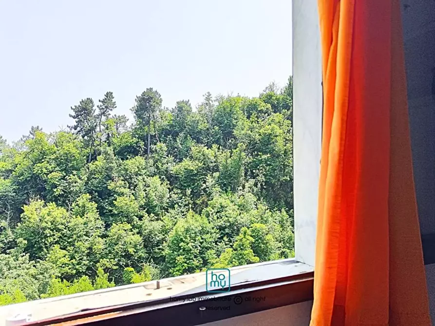 Immagine 40 di Casa indipendente in vendita  a Carrara