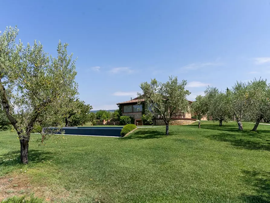 Immagine 19 di Villa in vendita  a Riparbella