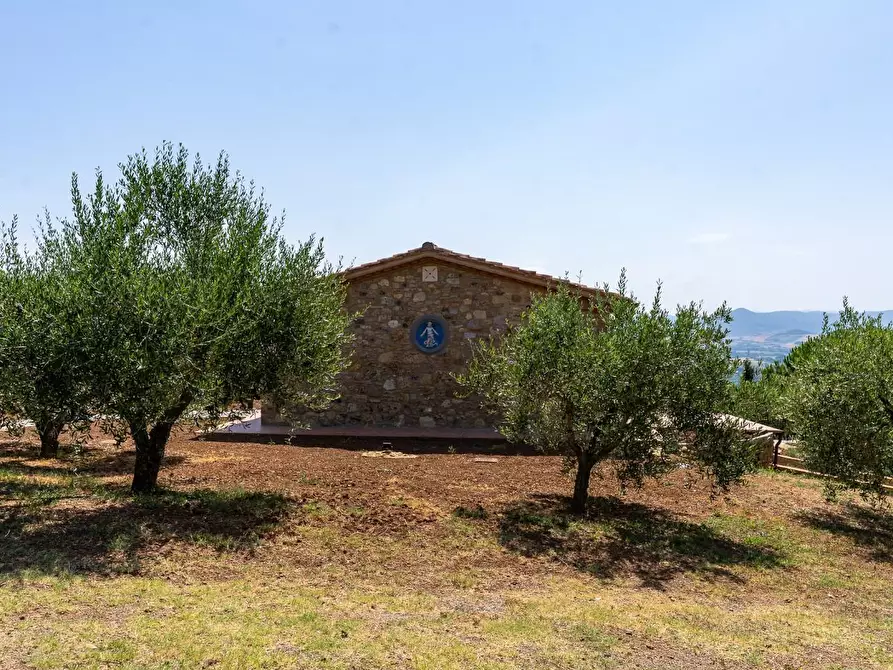 Immagine 46 di Villa in vendita  a Riparbella