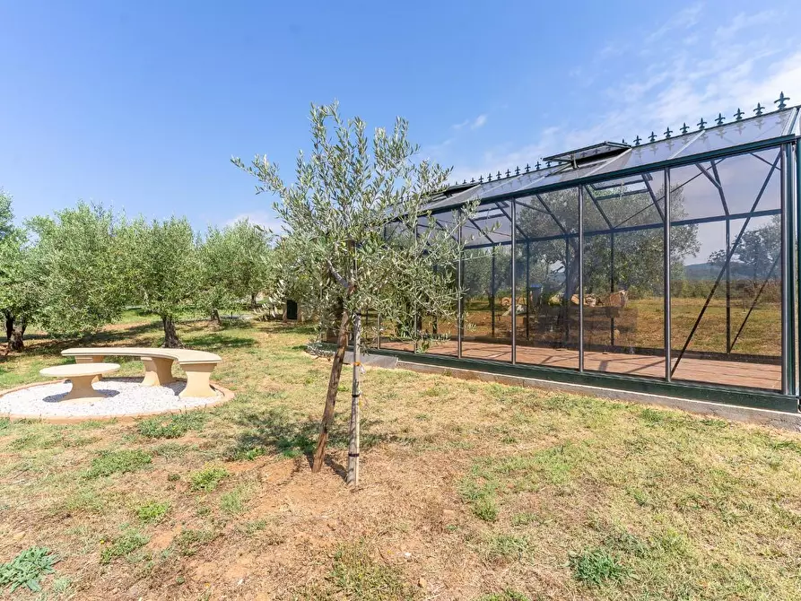 Immagine 51 di Villa in vendita  a Riparbella