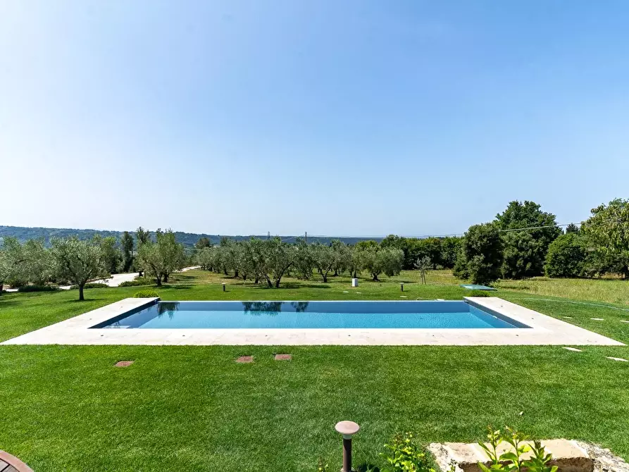 Immagine 10 di Villa in vendita  a Riparbella