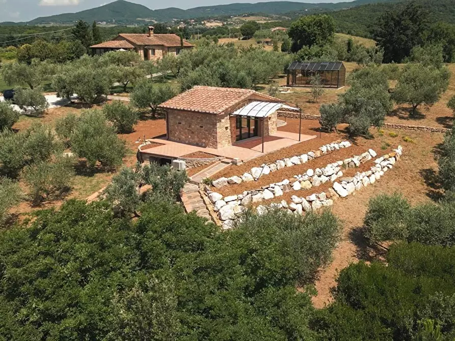 Immagine 53 di Villa in vendita  a Riparbella