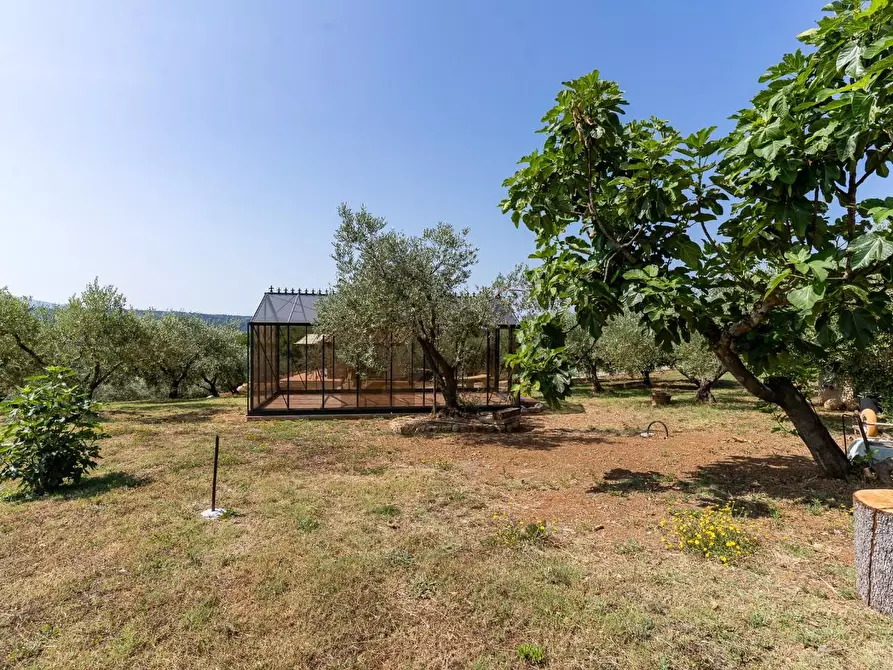 Immagine 50 di Villa in vendita  a Riparbella