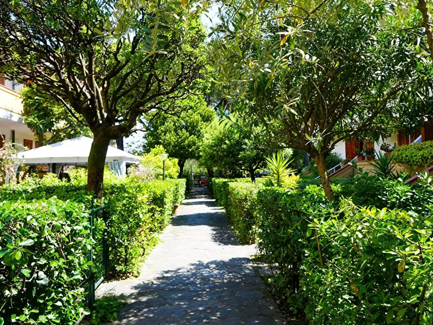 Immagine 38 di Villetta a schiera in vendita  a Massa