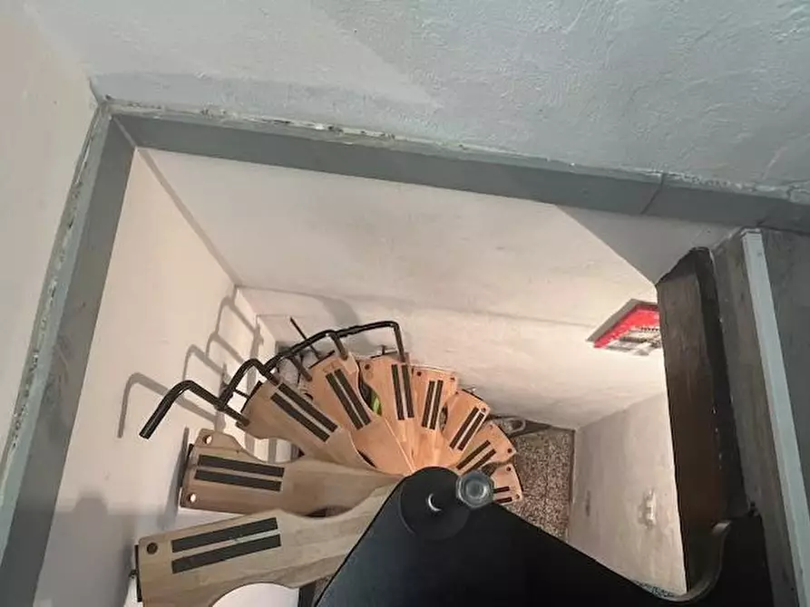 Immagine 19 di Terratetto in vendita  a Massa