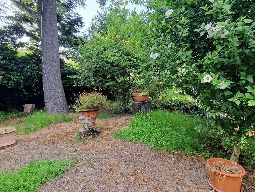 Immagine 30 di Villa in vendita  a Carrara