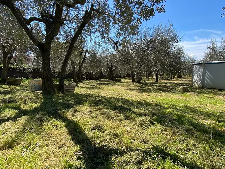 casa indipendente in vendita a Montelupo Fiorentino
