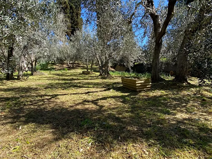 Immagine 5 di Terratetto in vendita  a Montelupo Fiorentino