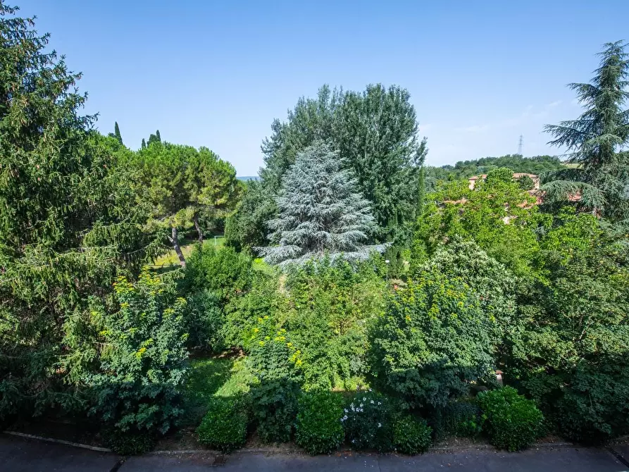 Immagine 14 di Appartamento in vendita  a Siena