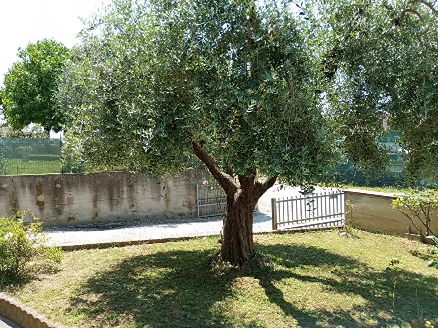 Immagine 19 di Casa bifamiliare in vendita  a Fucecchio