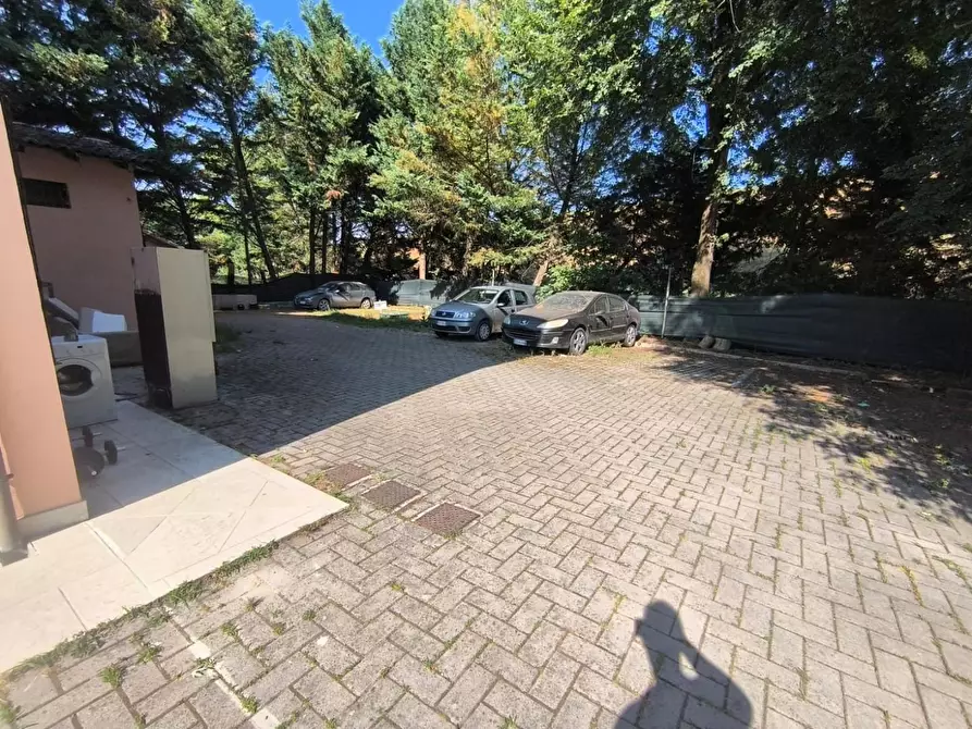 Immagine 14 di Appartamento in vendita  a Cadelbosco Di Sopra