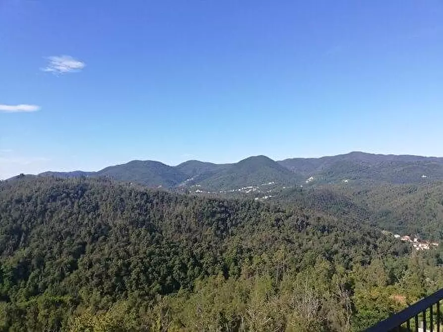 Immagine 4 di Appartamento in vendita  a Riccò Del Golfo Di Spezia