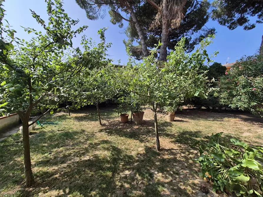 Immagine 40 di Casa indipendente in vendita  a San Miniato