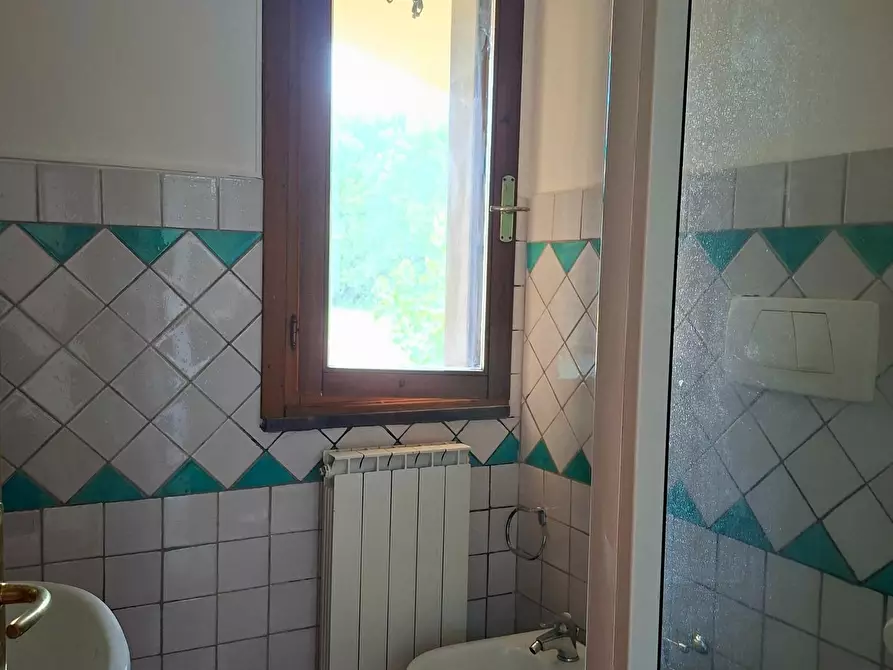 Immagine 5 di Appartamento in vendita  a Buti