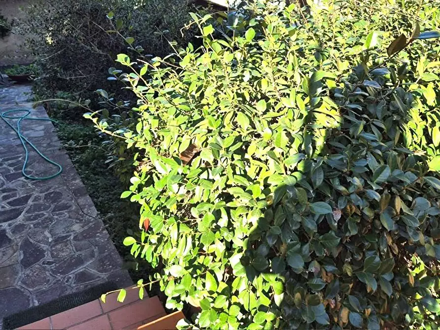 Immagine 1 di Appartamento in vendita  a Montelupo Fiorentino