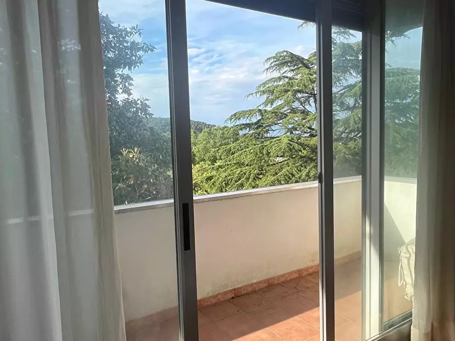 Immagine 19 di Villa in vendita  a Lucca