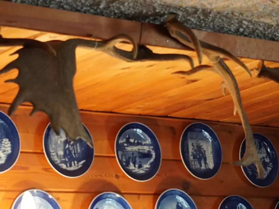 Immagine 41 di Villa in vendita  a Lucca