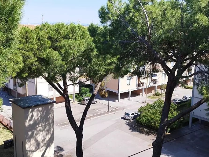 Immagine 2 di Appartamento in vendita  a Grosseto